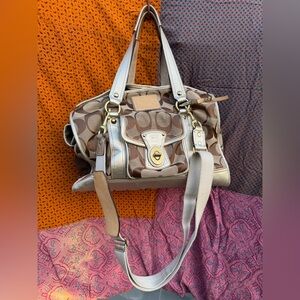Vintage Coach Dog Carrier